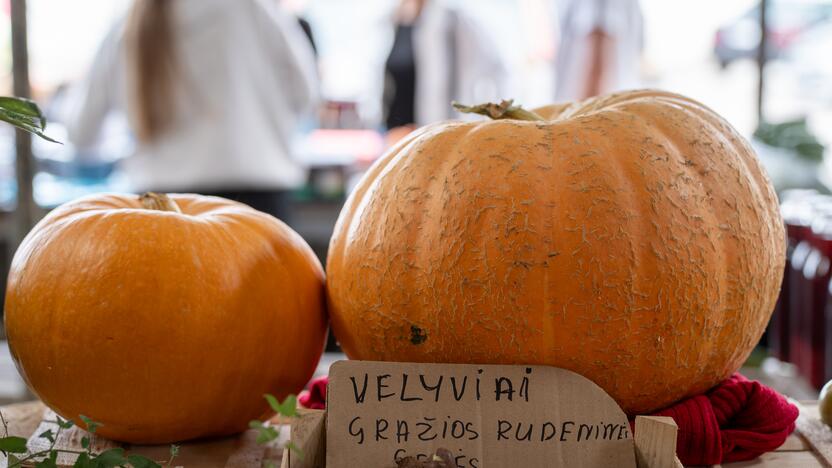 Kauno turgavietėse pridygo baravykų