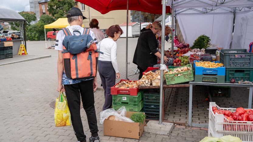 Kauno turgavietėse pridygo baravykų