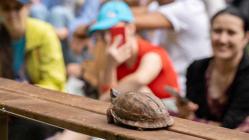 Festivalis „ConTempo“. Pieter Post (Nyderlandai) – The turtle