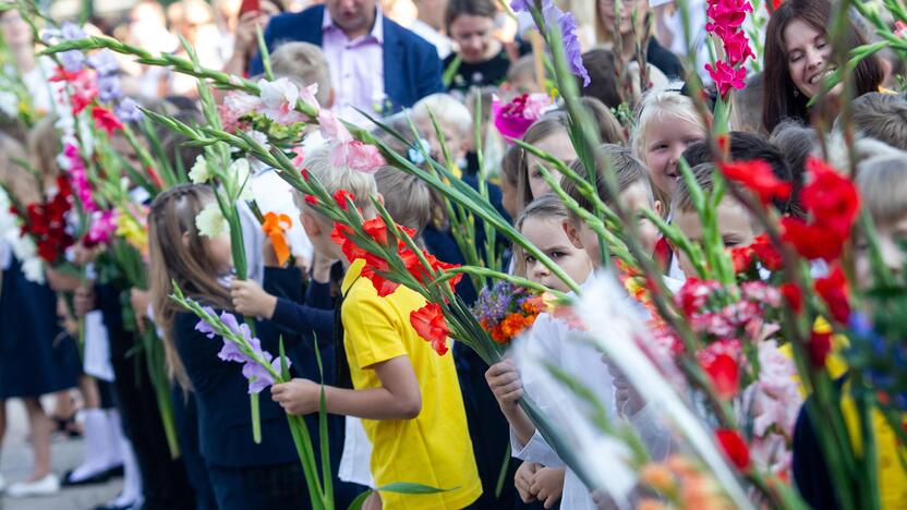 Realybė: politikai priiminėja rezoliucijas, o tėvai abejoja, kad jos suvaldys situaciją ir nebereikės mokyklose mokėti.