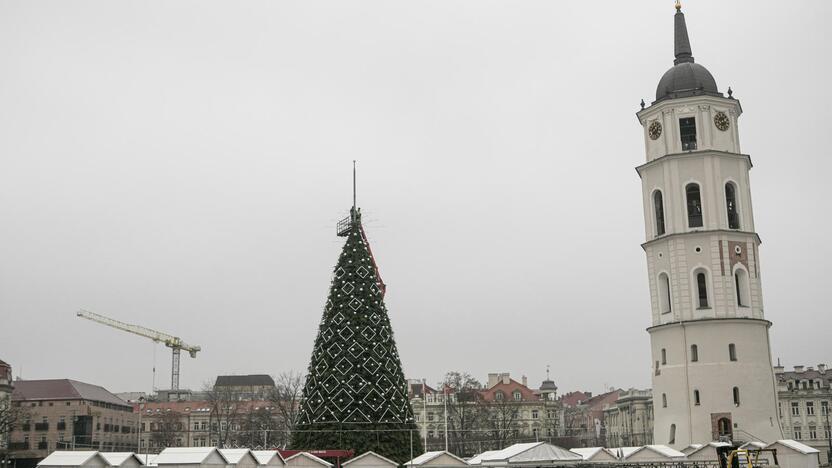 Ruošiama Vilniaus kalėdinė eglė