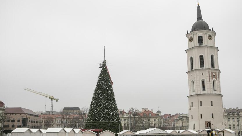 Ruošiama Vilniaus kalėdinė eglė