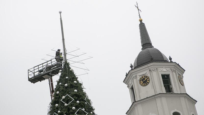 Ruošiama Vilniaus kalėdinė eglė