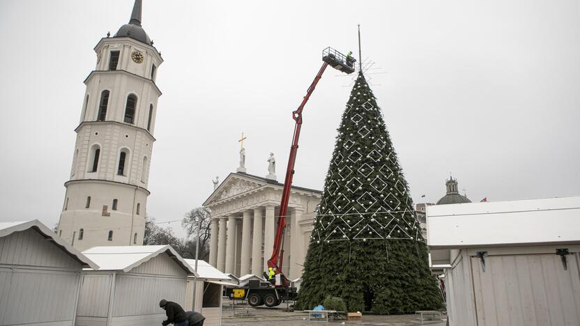 Ruošiama Vilniaus kalėdinė eglė