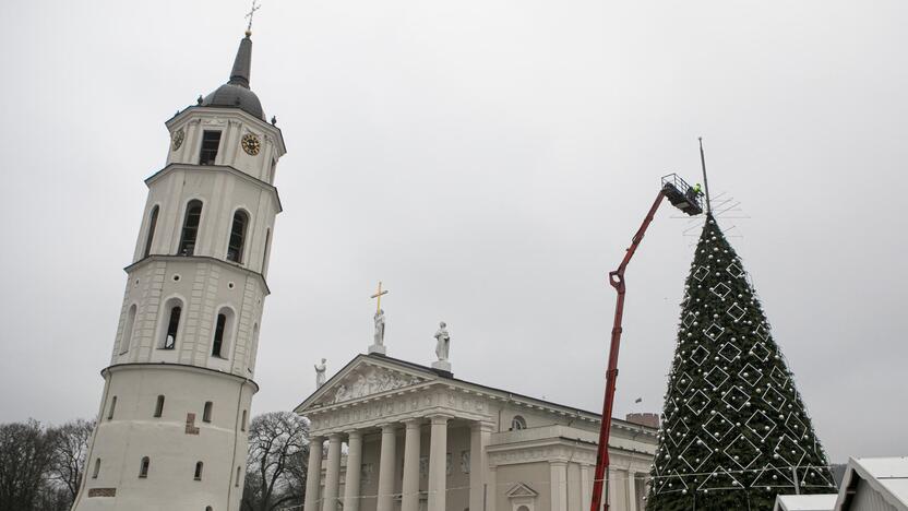 Ruošiama Vilniaus kalėdinė eglė