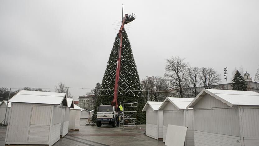 Ruošiama Vilniaus kalėdinė eglė