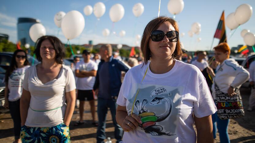 Šeimų maršo protestas prie Seimo