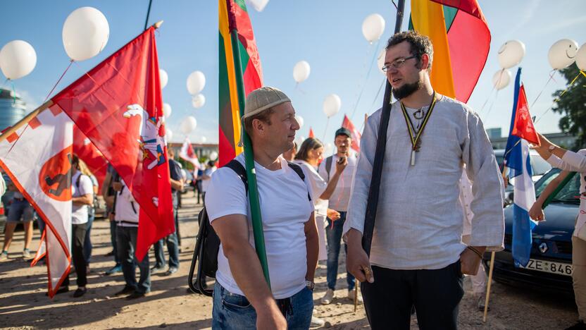 Šeimų maršo protestas prie Seimo