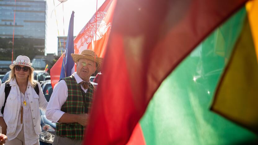 Šeimų maršo protestas prie Seimo