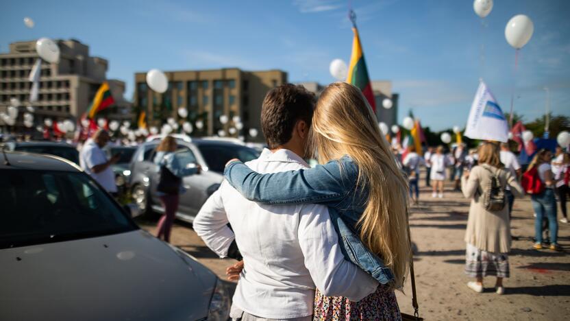 Šeimų maršo protestas prie Seimo