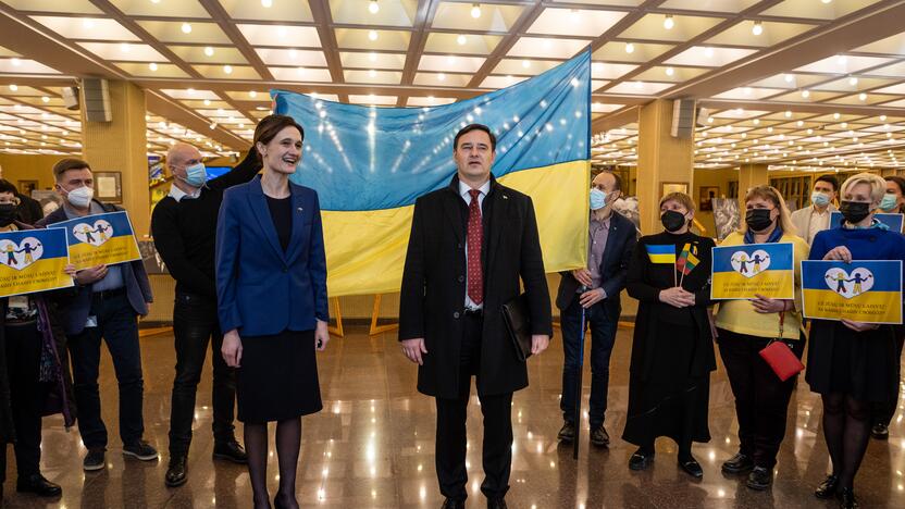 Seimo pirmininkė susitiko su Ukrainos ambasadoriumi