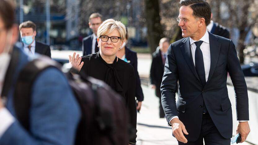 Nyderlandų premjero M. Rutte vizitas Lietuvoje