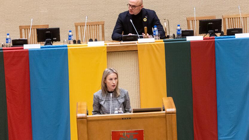 Konferencija „Metai karo Ukrainoje“ Seime