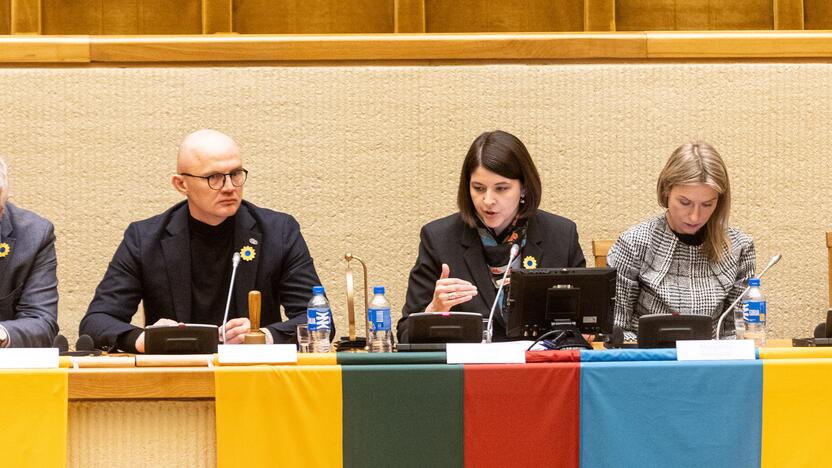 Konferencija „Metai karo Ukrainoje“ Seime