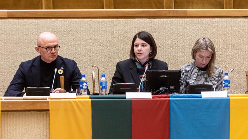 Konferencija „Metai karo Ukrainoje“ Seime