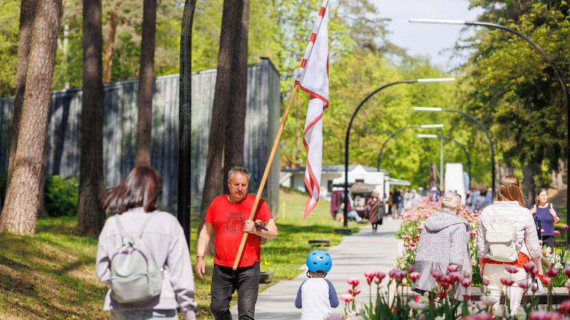 Didysis šeimos gynimo maršas Druskininkuose