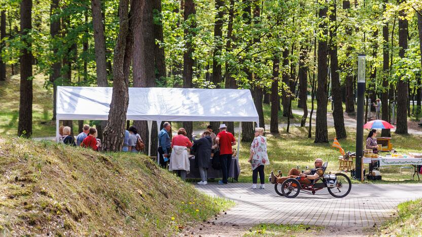 Didysis šeimos gynimo maršas Druskininkuose