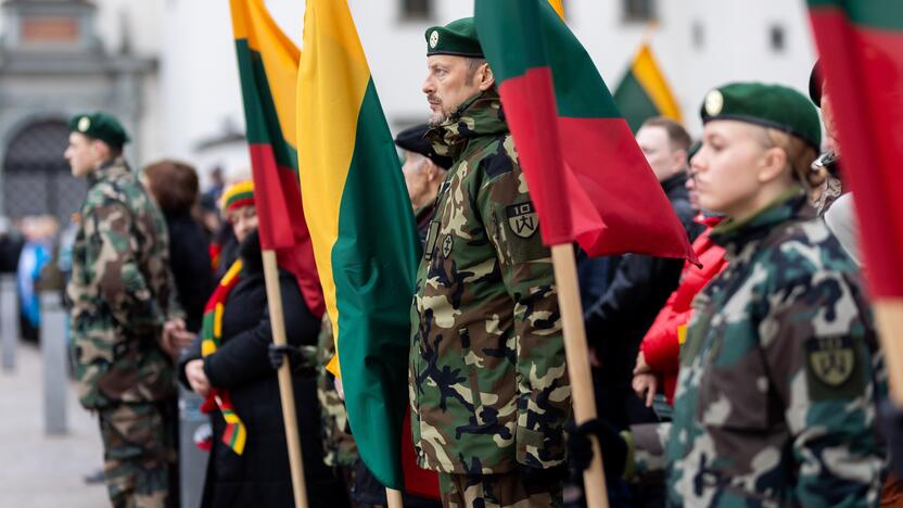 Lietuvos vėliavos dienos ceremonija