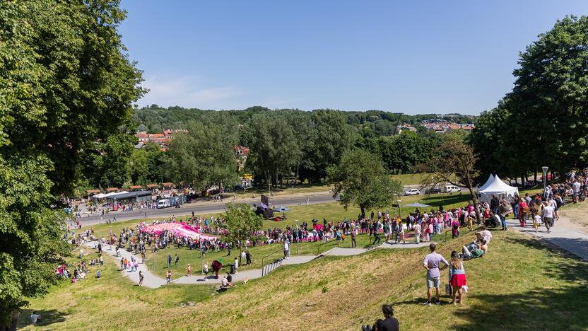 Šaltibarščių festivalis Vilniuje