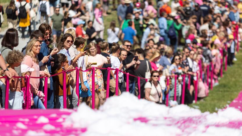 Šaltibarščių festivalis Vilniuje