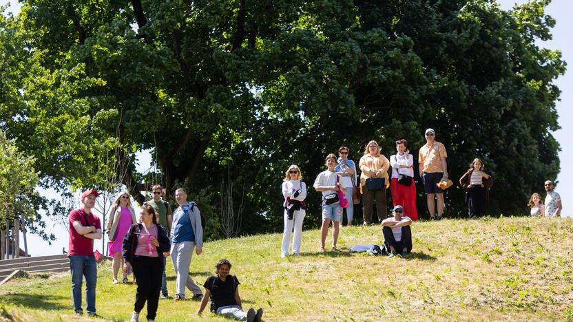 Šaltibarščių festivalis Vilniuje