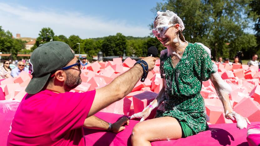 Šaltibarščių festivalis Vilniuje