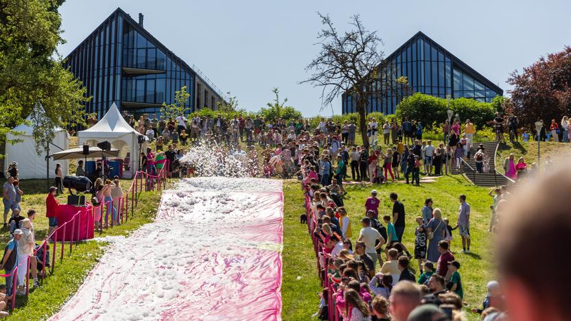 Šaltibarščių festivalis Vilniuje