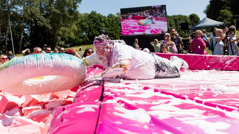 Šaltibarščių festivalis Vilniuje