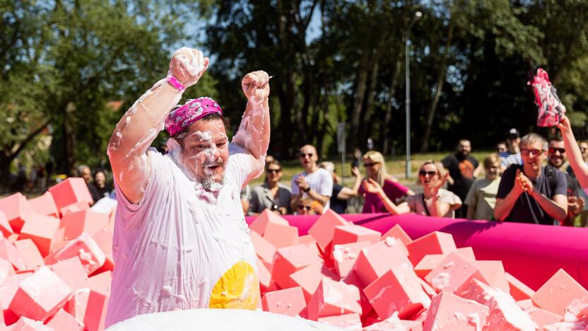 Šaltibarščių festivalis Vilniuje