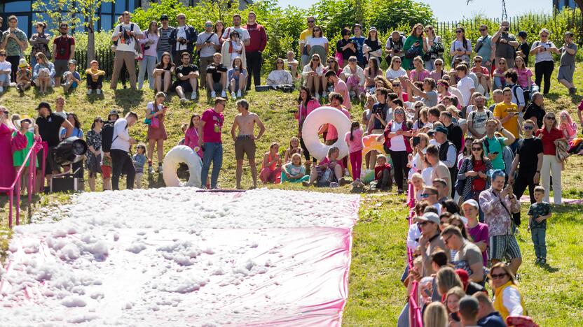 Šaltibarščių festivalis Vilniuje