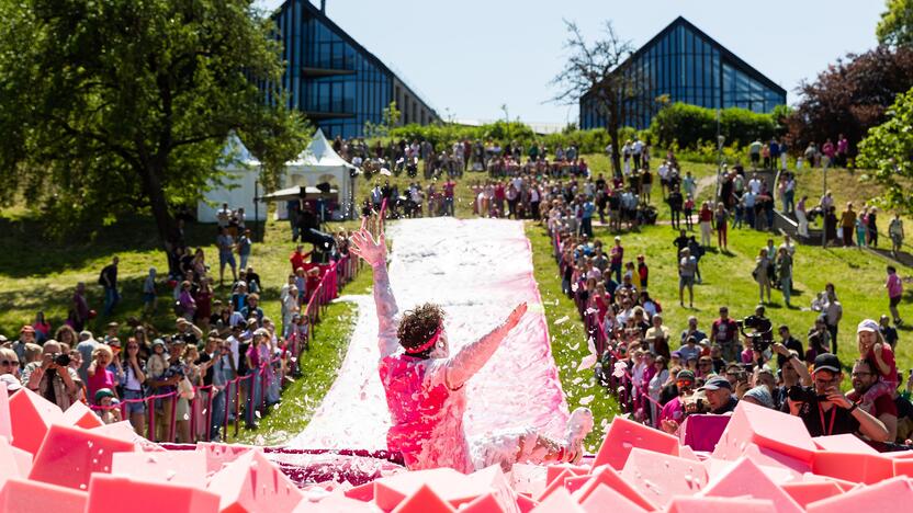 Šaltibarščių festivalis Vilniuje