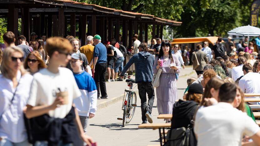 Šaltibarščių festivalis Vilniuje