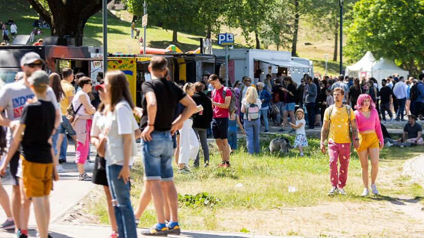 Šaltibarščių festivalis Vilniuje