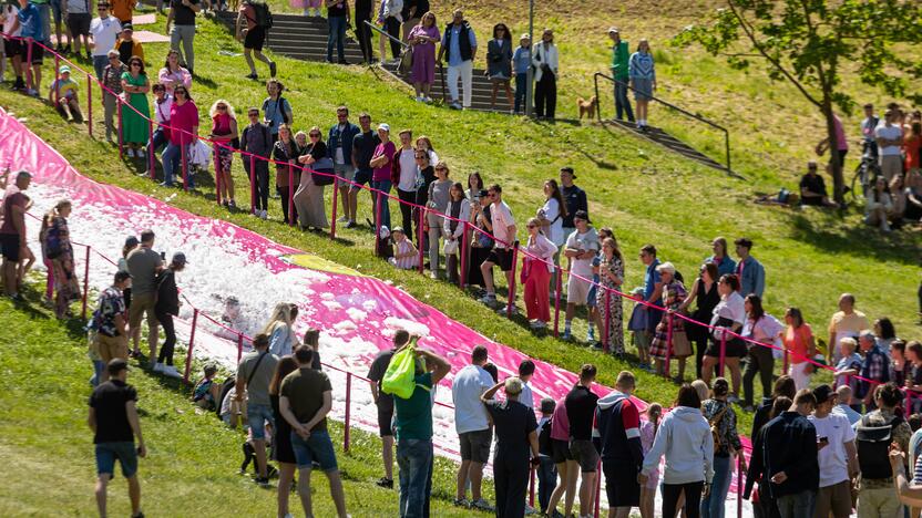 Šaltibarščių festivalis Vilniuje