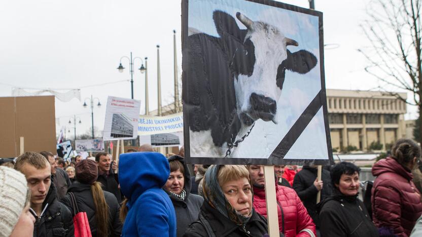 Pieno gamintojų protesto akcija