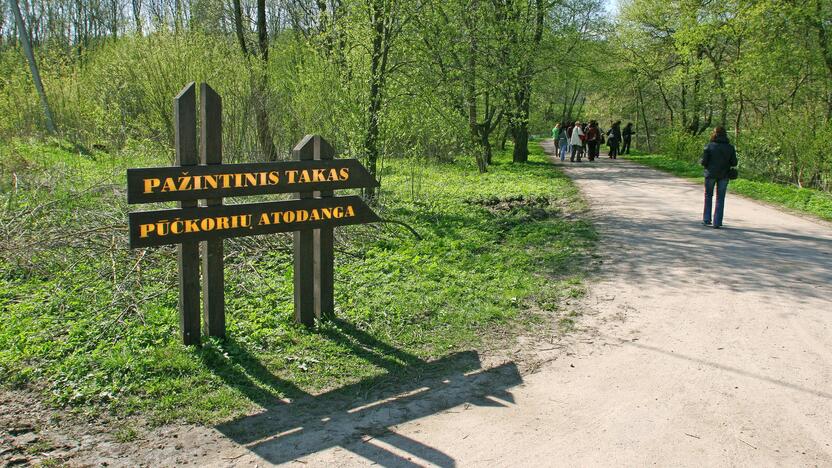 Pavilnių regioninis parkas