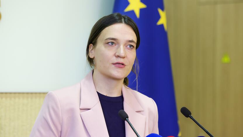 Europos reikalų komiteto pirmininkė Radvilė Morkūnaitė-Mikulėnienė