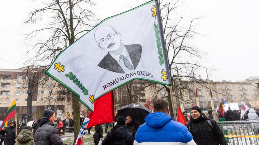 Protestas prie Seimo Sausio 13-ąją