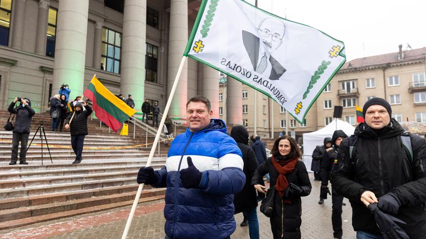 Protestas prie Seimo Sausio 13-ąją