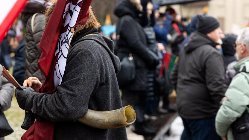 Protestas prie Seimo Sausio 13-ąją