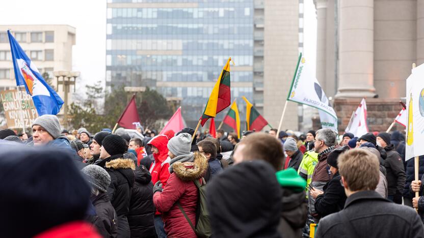 Protestas prie Seimo Sausio 13-ąją