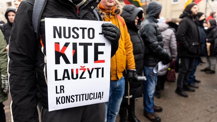 Protestas prie Seimo Sausio 13-ąją