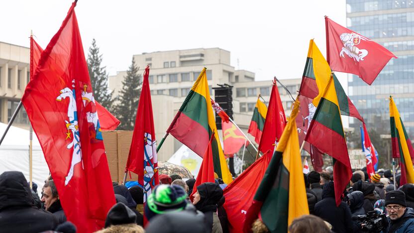 Protestas prie Seimo Sausio 13-ąją