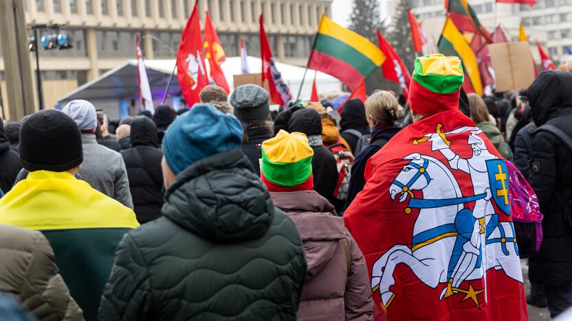 Protestas prie Seimo Sausio 13-ąją