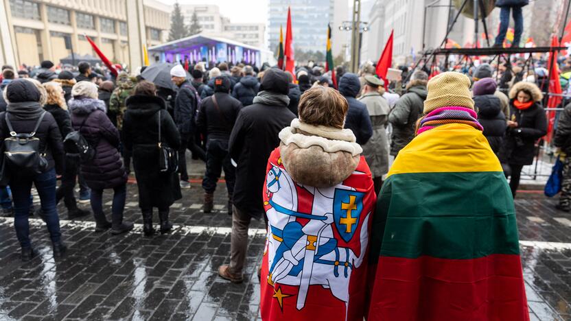 Protestas prie Seimo Sausio 13-ąją