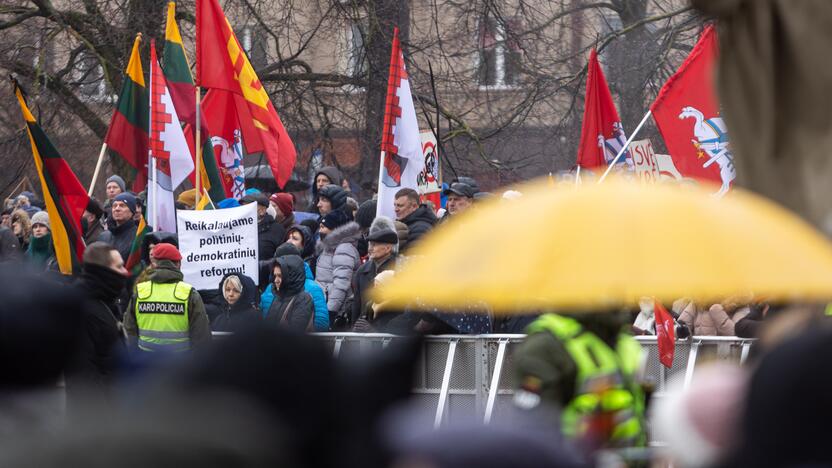 Protestas prie Seimo Sausio 13-ąją