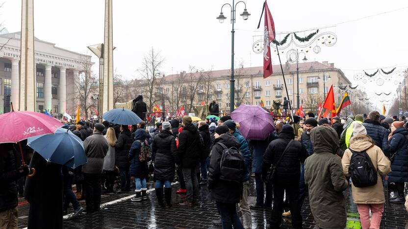 Protestas prie Seimo Sausio 13-ąją