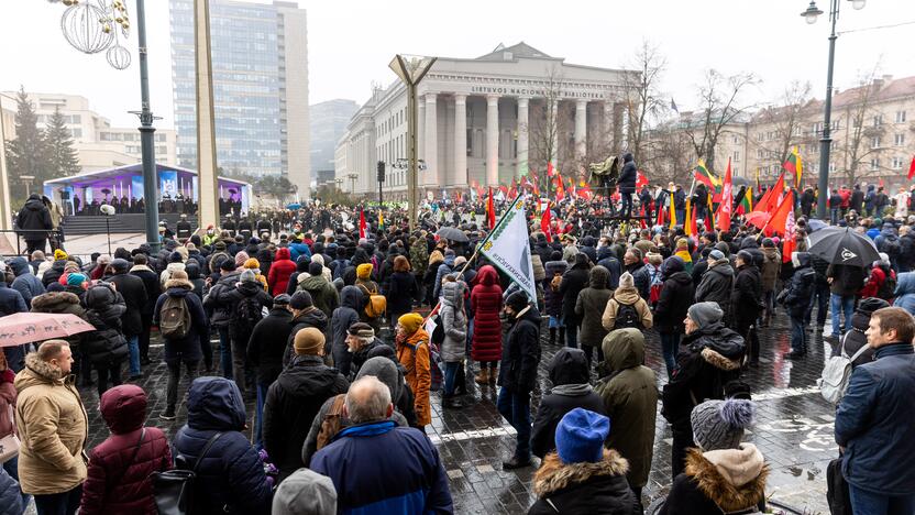 Protestas prie Seimo Sausio 13-ąją