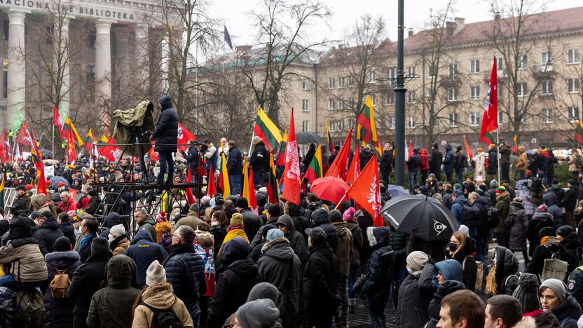 Protestas prie Seimo Sausio 13-ąją