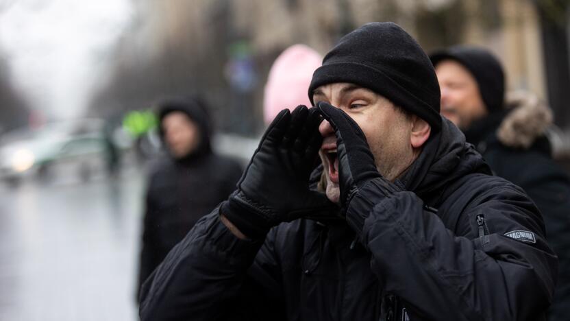 Protestas prie Seimo Sausio 13-ąją